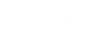 StillBranch White Logo